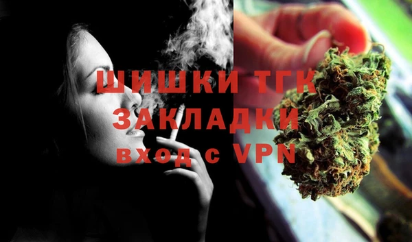 ECSTASY Болотное